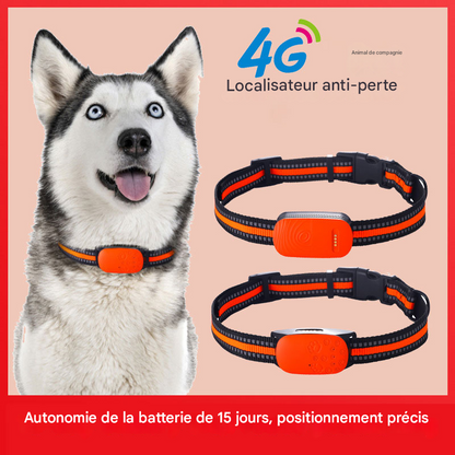 Localisateur GPS 4G Étanche - Collier Anti-Perte pour Chiens, Chats et Animaux