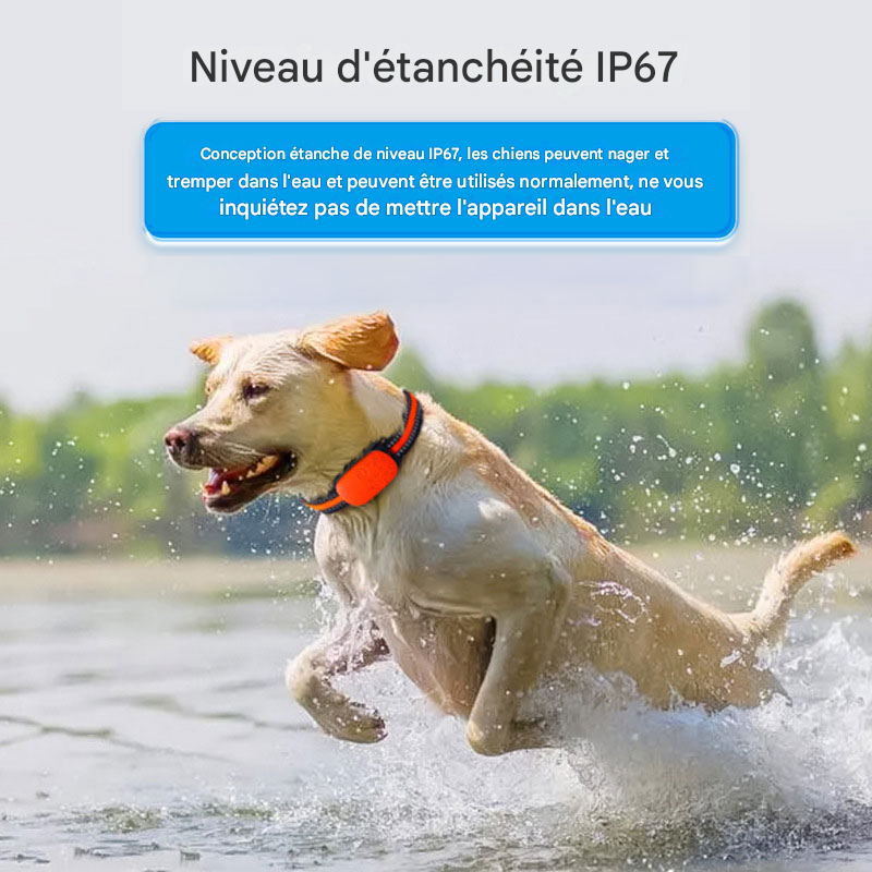 Localisateur GPS 4G Étanche - Collier Anti-Perte pour Chiens, Chats et Animaux
