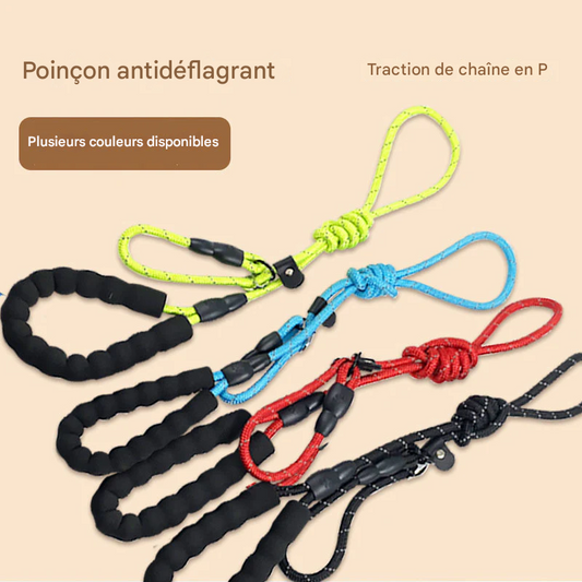 Laisse Chaîne Réfléchissante Anti-Choc - Pour Chiens Robuste et Sécuritaire
