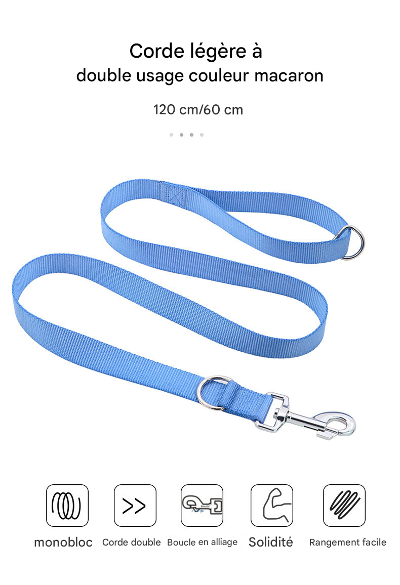 Laisse Plate Légère et Robuste - Pour Chiens Petits, Moyens et Grands