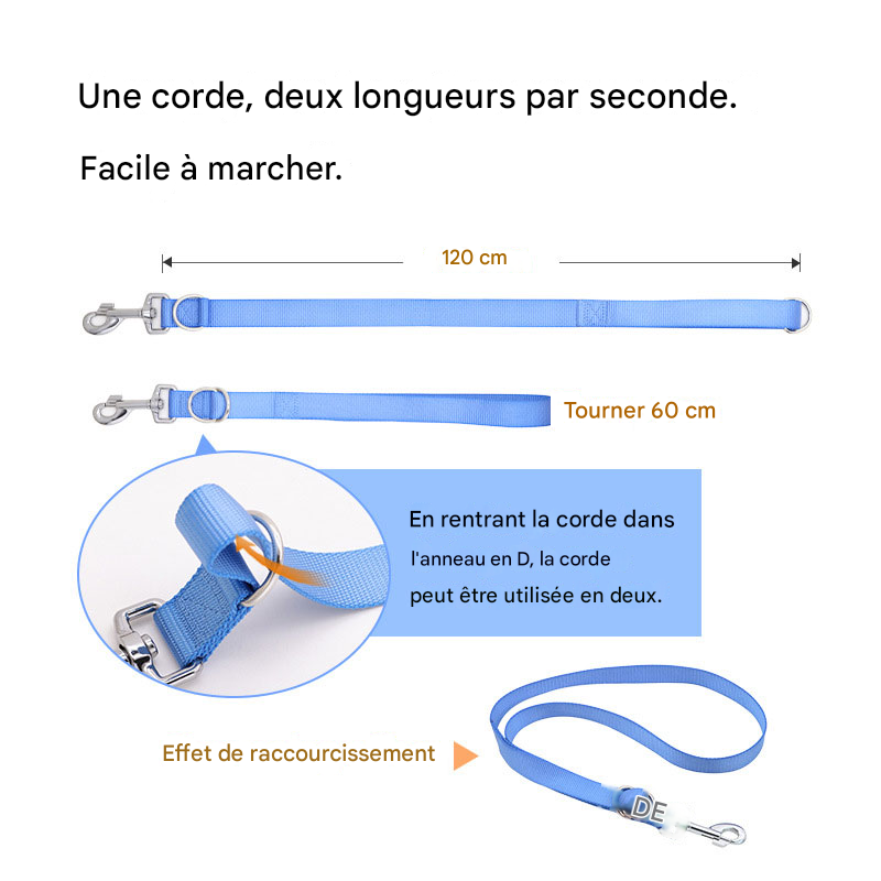 Laisse Plate Légère et Robuste - Pour Chiens Petits, Moyens et Grands