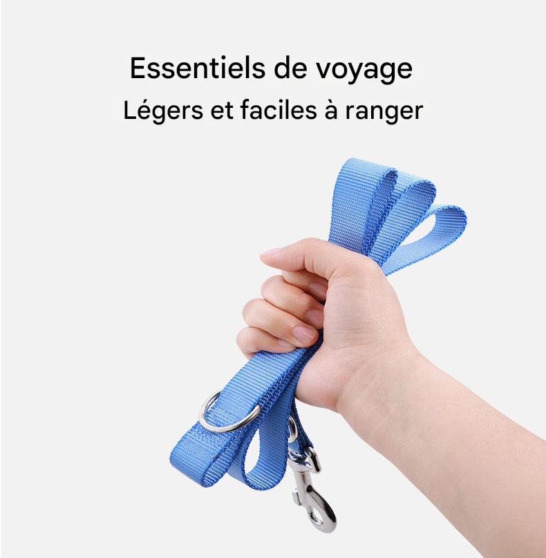 Laisse Plate Légère et Robuste - Pour Chiens Petits, Moyens et Grands