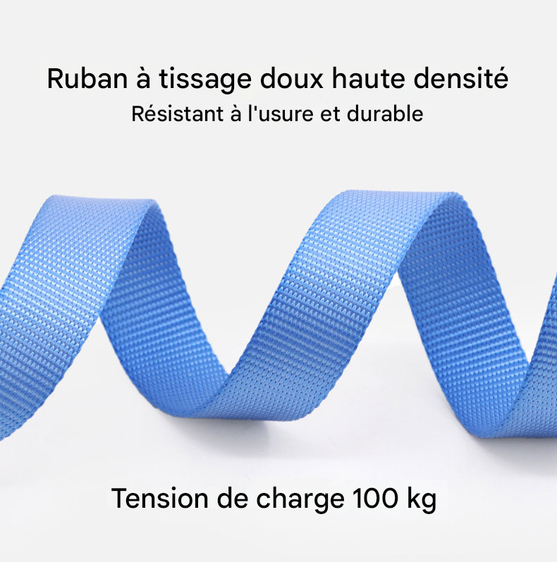 Laisse Plate Légère et Robuste - Pour Chiens Petits, Moyens et Grands