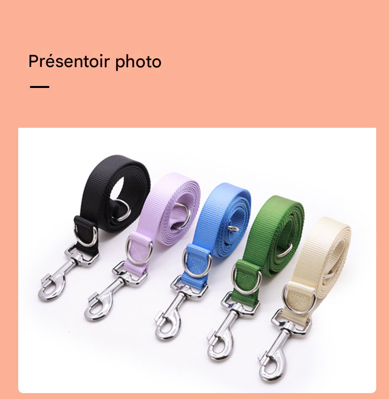 Laisse Plate Légère et Robuste - Pour Chiens Petits, Moyens et Grands