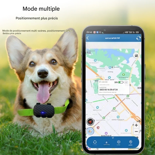 Localisateur GPS 4G Magnétique Étanche - Positionnement Précis pour Chiens et Chats