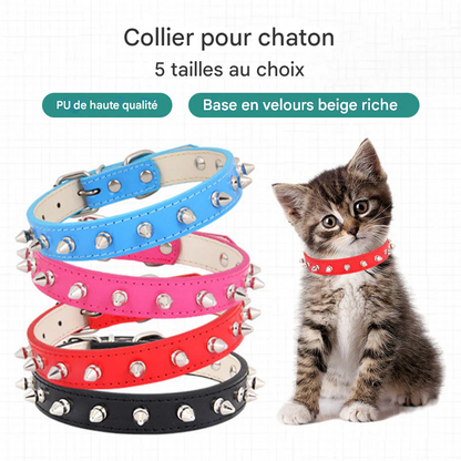 Ensemble Collier en Cuir avec Laisse - Élégant et Confortable pour Chatons et Petits Chats