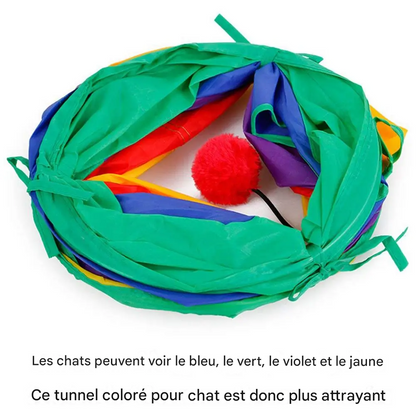 Tunnel de Jeu Pliable pour Chat - Tube Jouet Interactif pour Chats, Furets et Petits Animaux