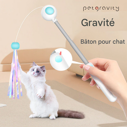 Jouet Laser Interactif pour Chat avec Plumes - Stimulation Mentale et Physique