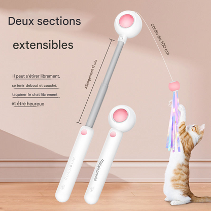 Jouet Laser Interactif pour Chat avec Plumes - Stimulation Mentale et Physique