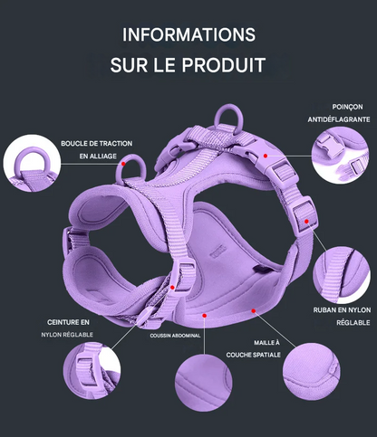 OXFORD - Choix de Laisses, Colliers et Harnais Imperméable de haute qualité. 5 Choix de Couleurs