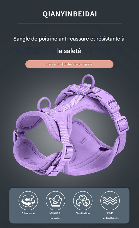 OXFORD - Choix de Laisses, Colliers et Harnais Imperméable de haute qualité. 5 Choix de Couleurs