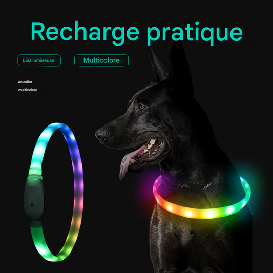 🔆Collier Lumineux LED Rechargeable USB - Sécurité Nocturne pour Chiens et Chats💚Coup de cœur de la propriétaire💚