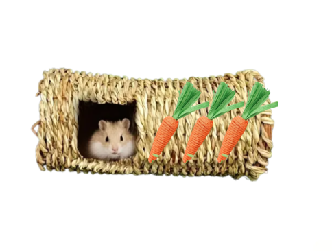 Tunnel/ labyrinthe Carottes en jute tressé à la main pour petits animaux 8'' x 4''