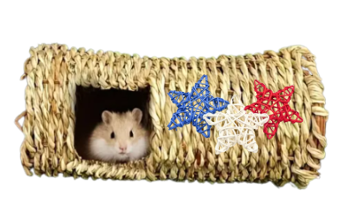 Tunnel/ labyrinthe Étoile en jute tressé à la main pour petits animaux 8'' x 4''