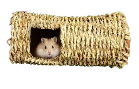 Tunnel/ labyrinthe en jute tressé à la main pour petits animaux 8'' x 4''